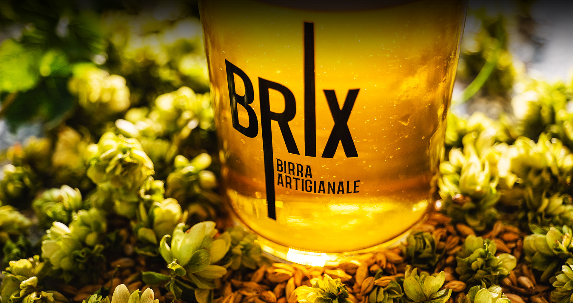 Brix Brew Pub - Collegno